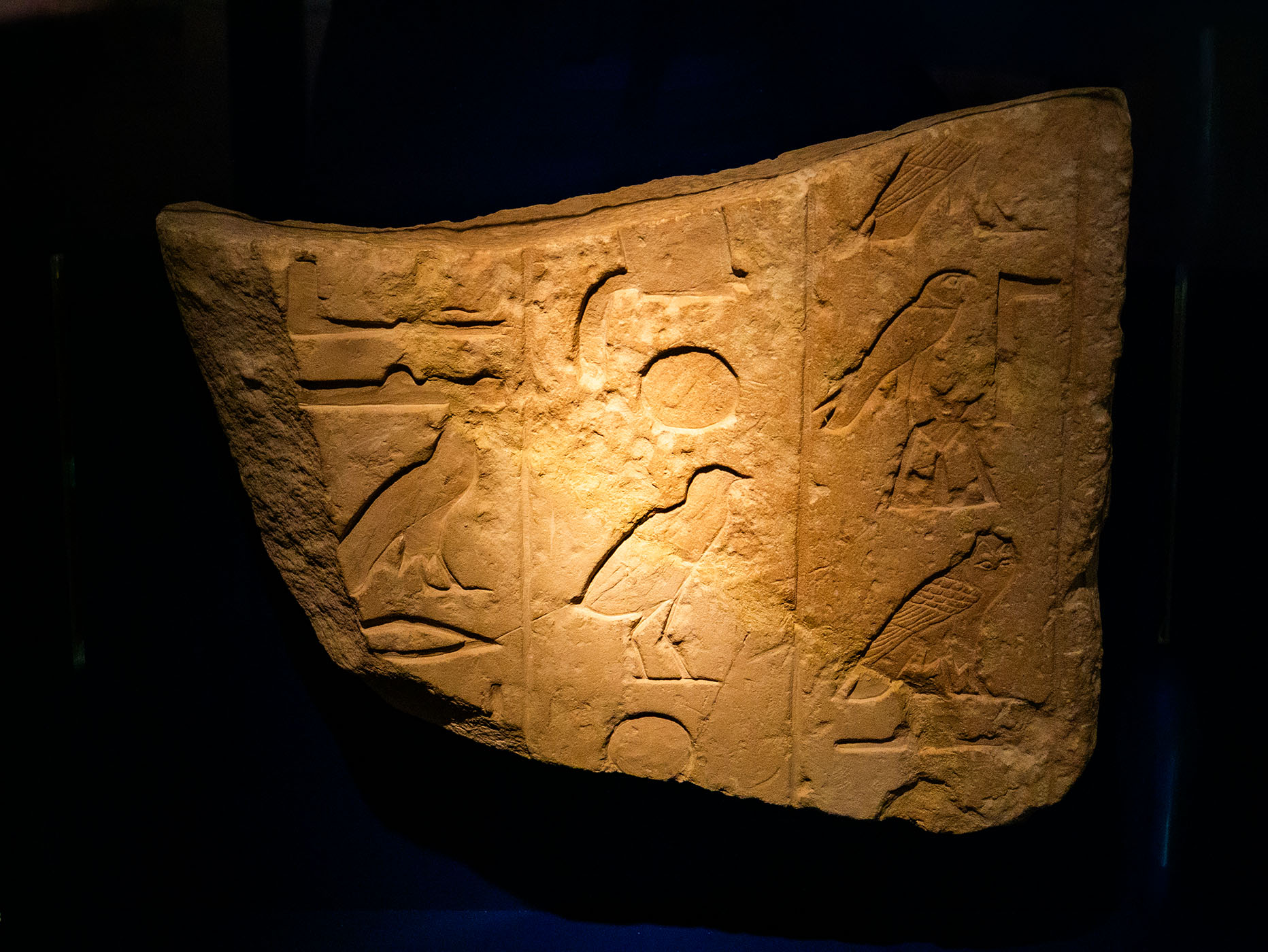 DAS RELIEFFRAGMENT MIT HIEROGLYPHEN stammt von einer Scheintür aus einem Grab. Es zeigt mehrere nach rechts gewandte Vögel. Die Blickrichtung der Tiere gibt die Leserichtung von rechts nach links an, die vertikalen Linien die Schreibung in Spalten mit der Leserichtung von oben nach unten.